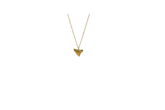 Shark Tooth Necklace