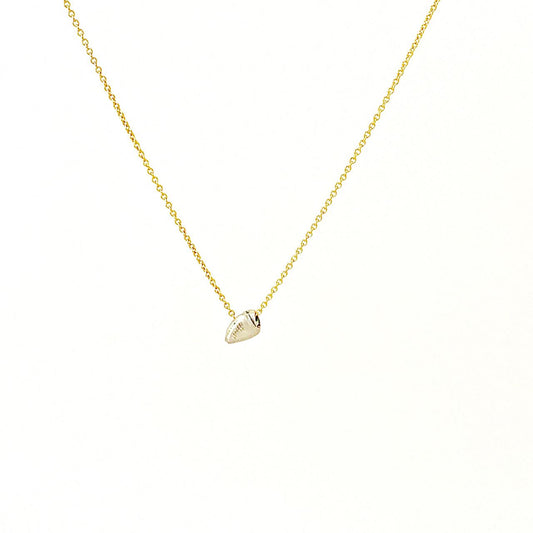 Conch Necklace