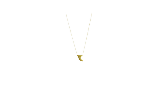 Single Fin Necklace